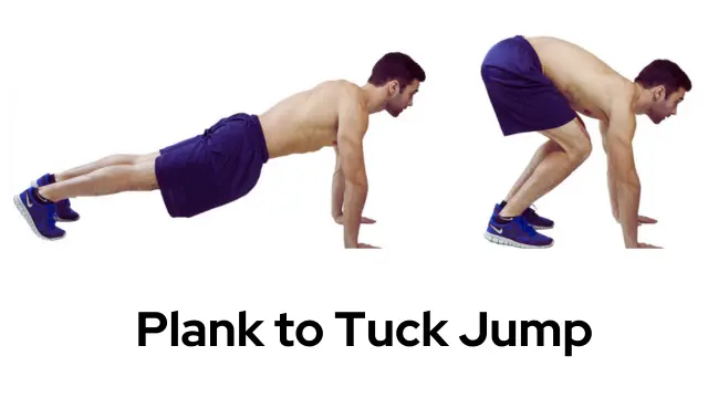 Plank to Tuck Jump