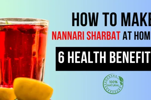 Nannari Sharbat ke Health Benefits